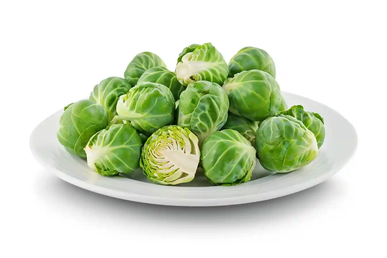 Gerösteter Rosenkohl aus dem Ofen: frischer Rosenkohl auf einem Teller